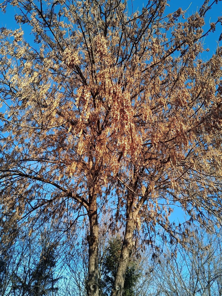 Daniel Martins (@danielmart11380) on Twitter photo 