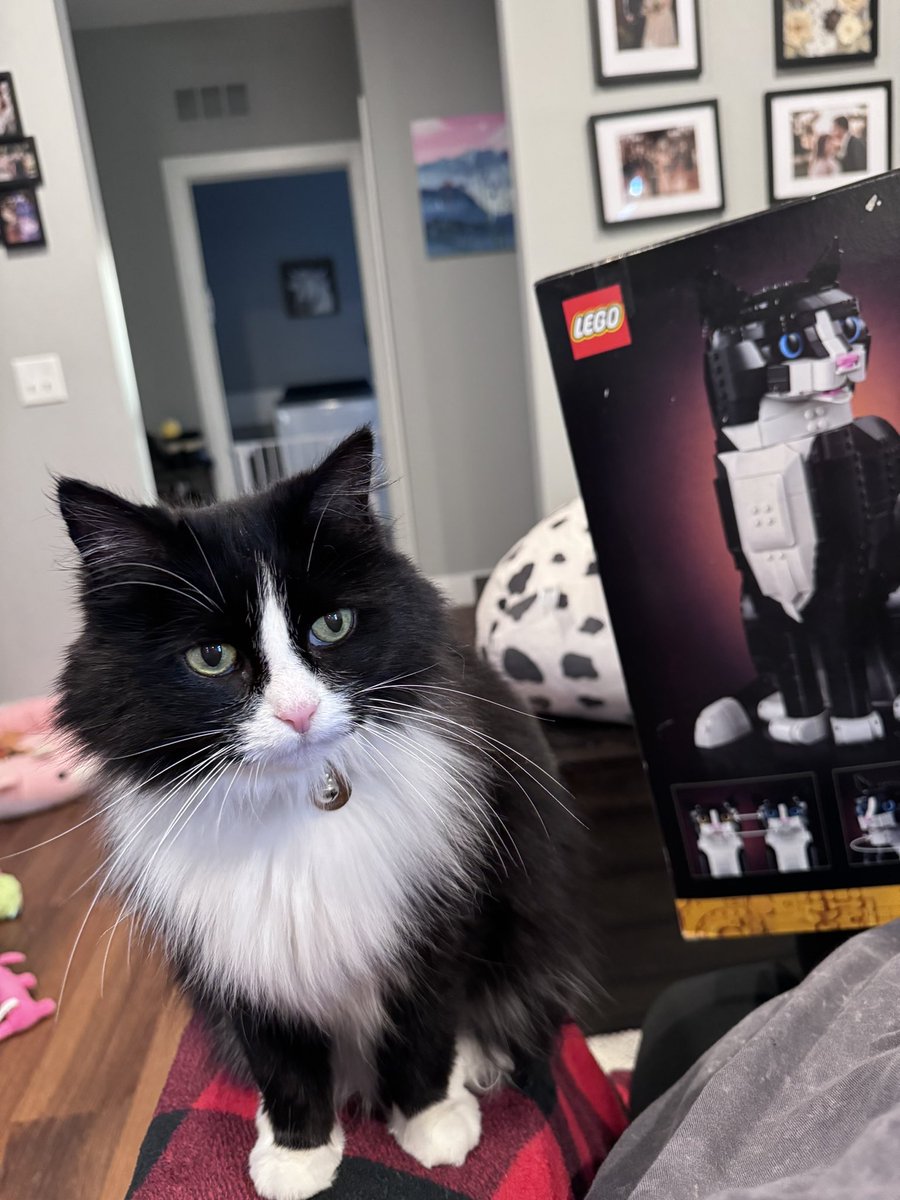 WAHT THE HEAL IS THISE