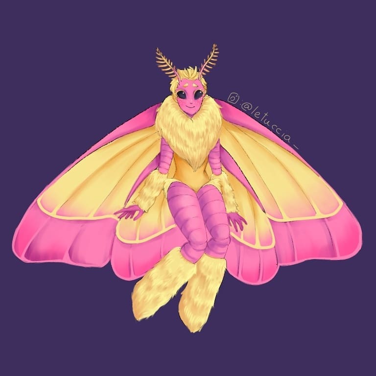 TERMINEI A FADINHA MARIPOSA!!!! é um redraw, o da direita é o antigo.
espécie: Rosy Maple moth
🔄 + ❤️ plsssss