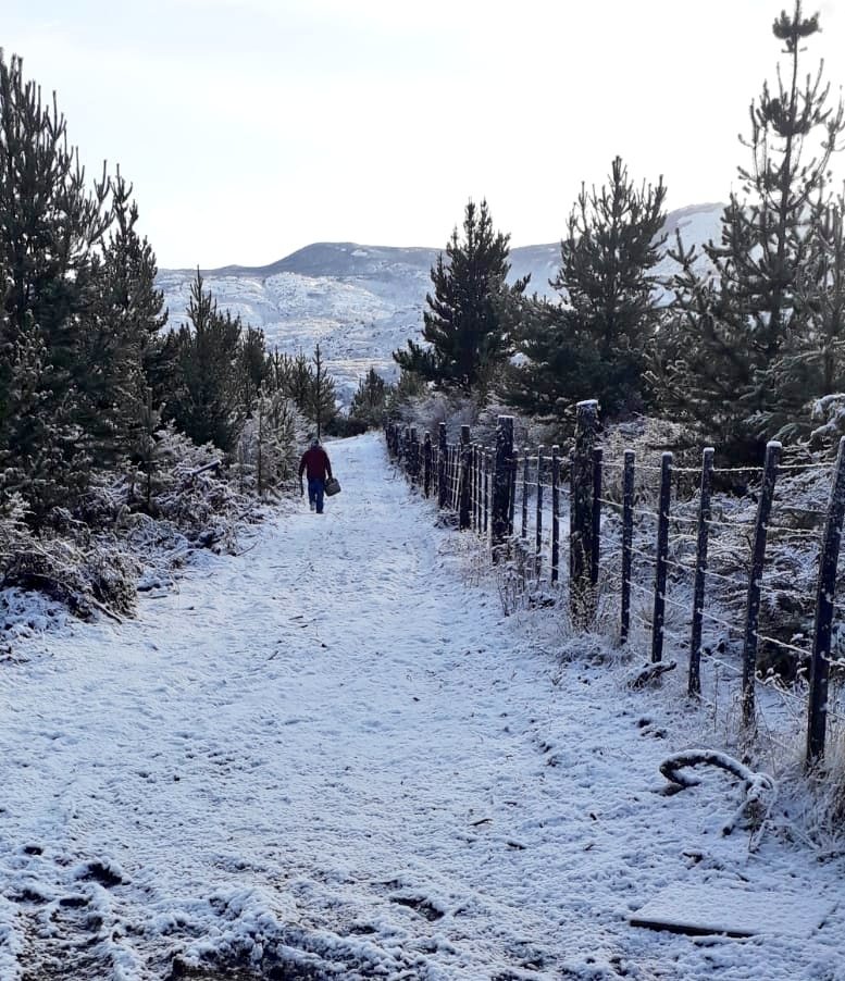 flomex11's tweet photo. 🤍Mi papi camino a la hacienda 🤭❄️ https://t.co/hu5AdCYghg