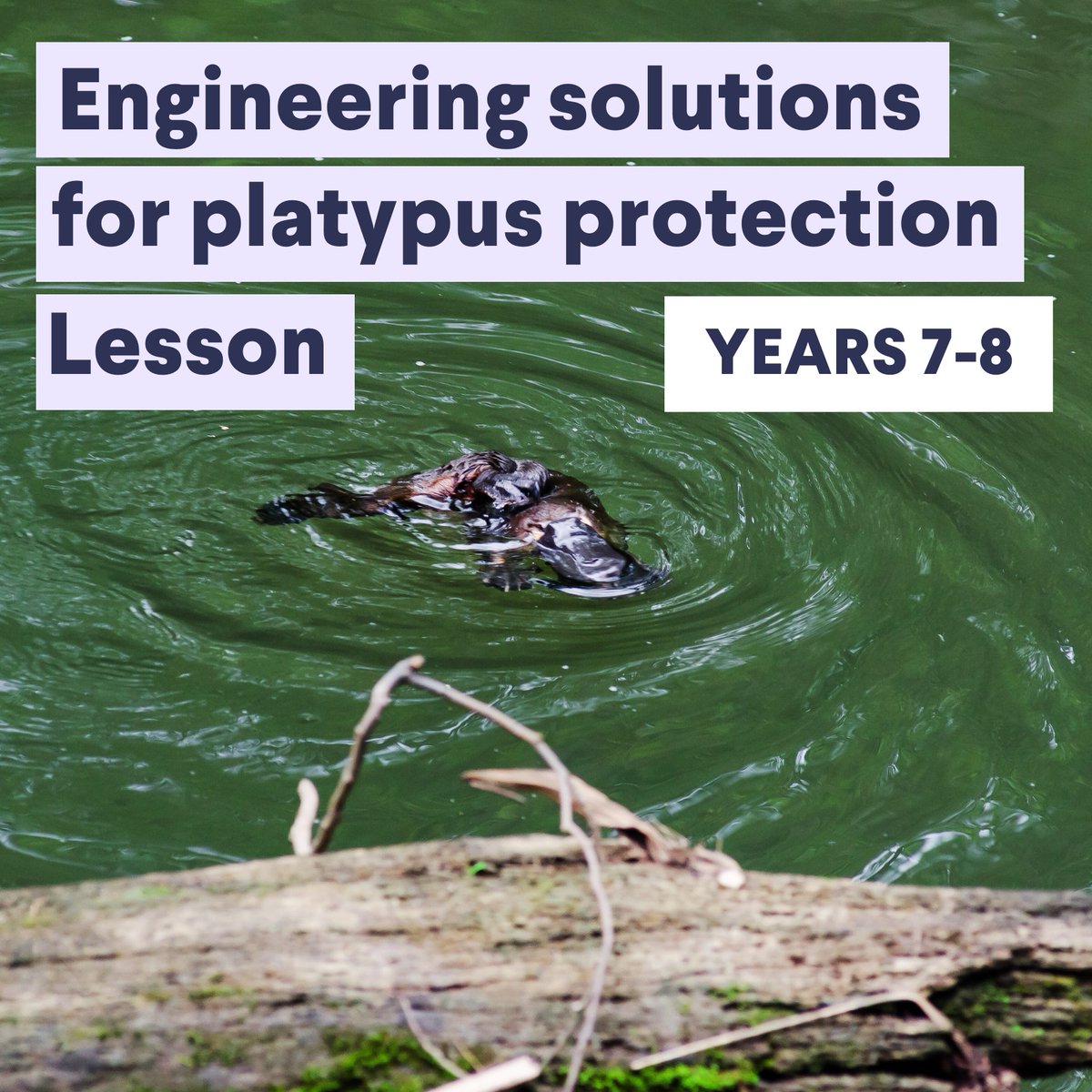 Get into STEM tweet media