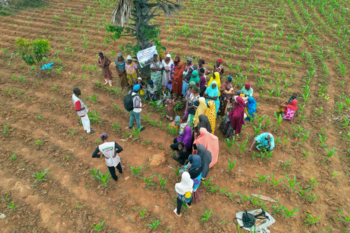 palmvalleyng's tweet photo. GROWING OPPORTUNITIES FOR WOMEN AND YOUTH FARMERS!
As part of our mandate, we are engaging our community partners in Kaduna, Benue, and Nasarawa states on Refresher Training to enhance Good Agronomic Practices (GAP). 

#GAPTraining #WomenInAgriculture #YouthEmpowerment https://t.co/geBVmePbrN