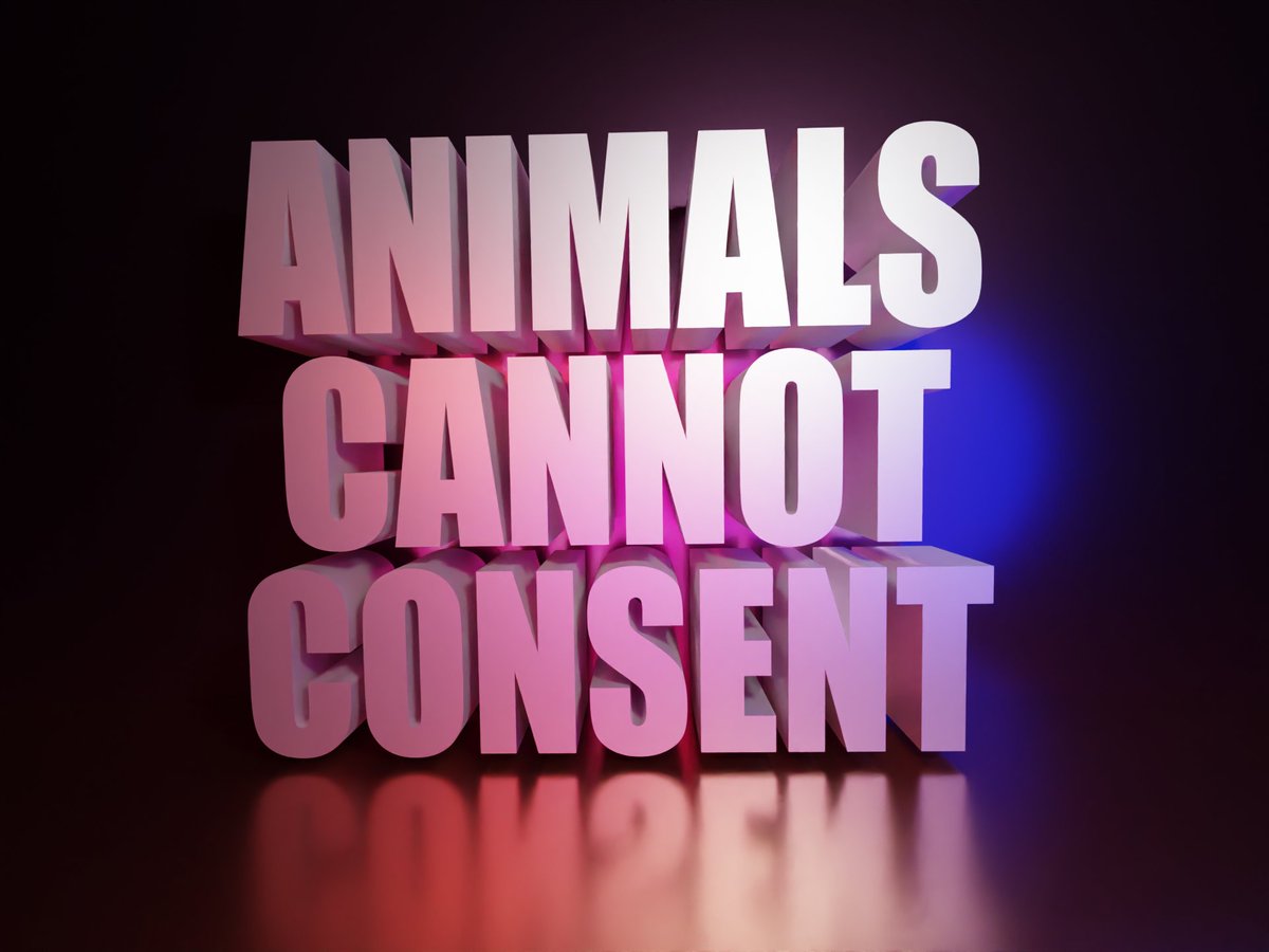 GaySexForReal's tweet photo. ANIMALS CANNOT CONSENT https://t.co/SHT0zQFkjF