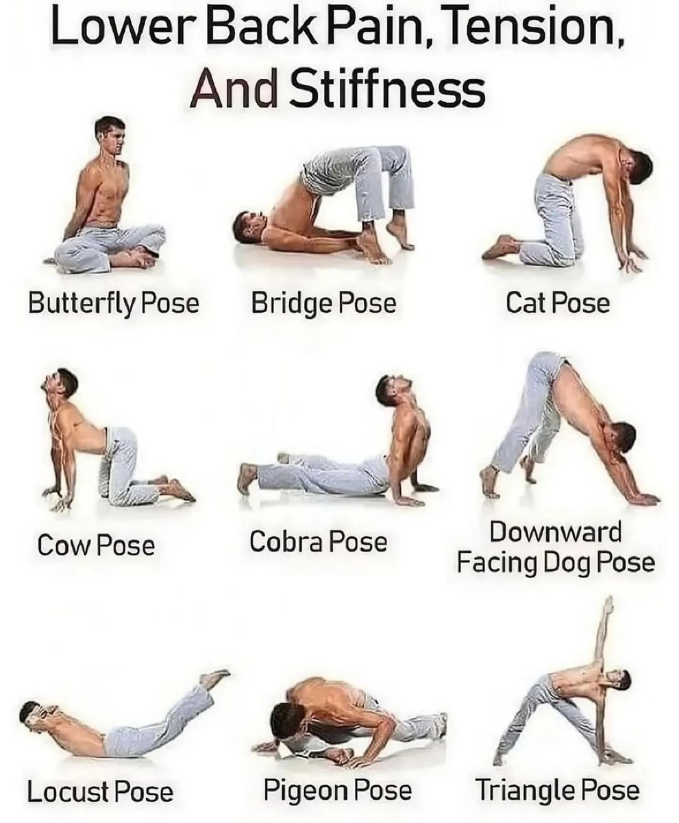 NutritionGuide_'s tweet photo. Lower Back Pain Exercises... https://t.co/oHptqI1TgO
