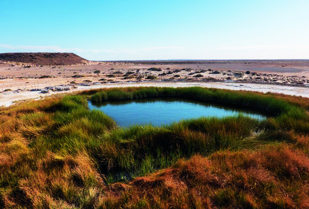 AgForceQLD's tweet photo. 🌊💪 AgForce Achieves Major Milestone in Protecting the Great Artesian Basin (GAB)!

In December 2023, AgForce took legal action with two crucial goals:
1️⃣ Stop the Glencore/CTSCo proposal.
2️⃣ Secure federal protections for the GAB. 

More 👉https://t.co/pEN9dSrxvo

#savetheGAB https://t.co/JZdkqxzjrM