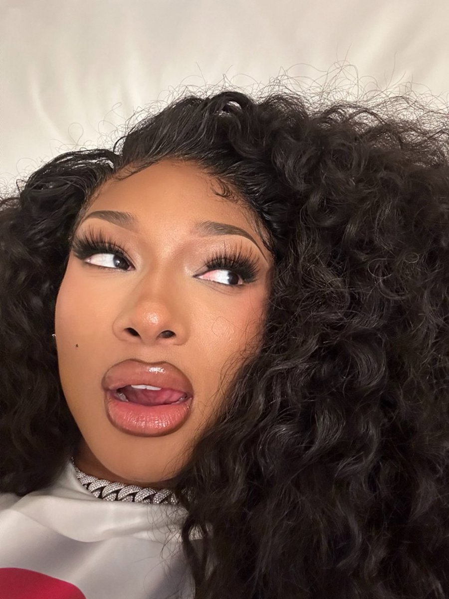 theestallion's tweet image. Need me a baddie like Megan Thee Stallion ✨🐎