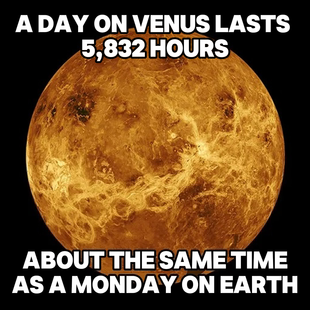 🥲Happy Monday, folks! Hanging in there? We're with you! Did you know that  a day on Venus is not just long, it's mind-bogglingly long? It takes a  whopping 5,832 hours for the, image size:1080x1080