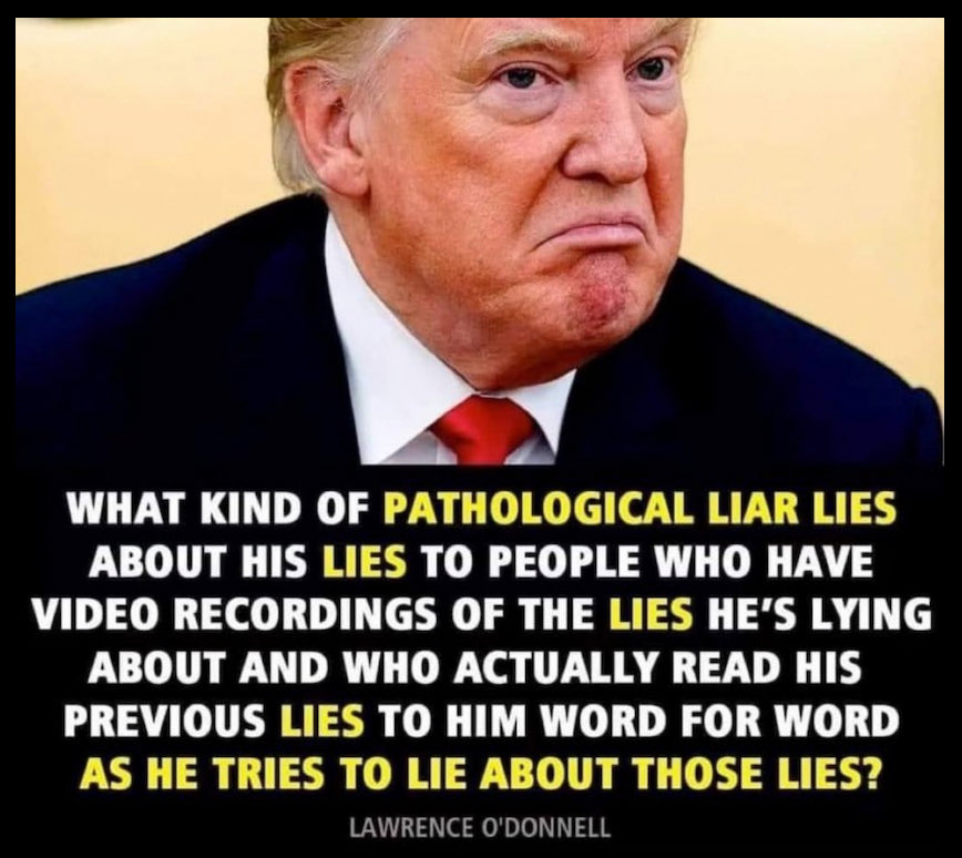 Just saying tweet media