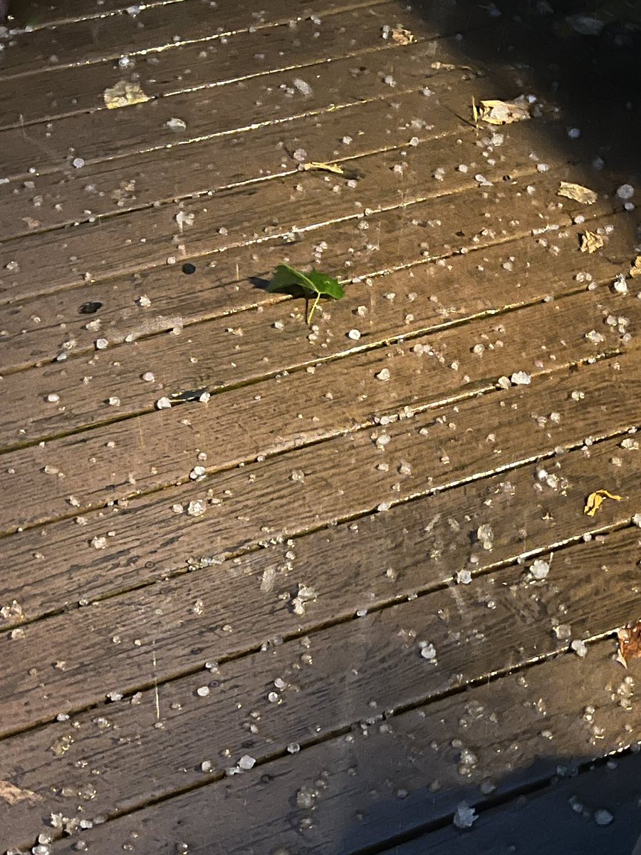 Colfax hail! <a href="/KCCINews/">KCCI News</a>