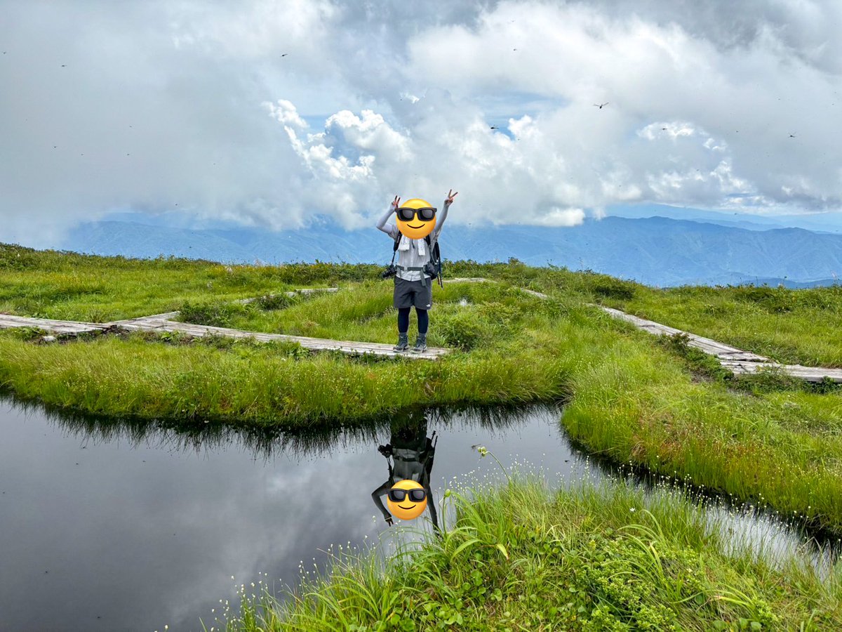 ニッコウキスゲの見頃が過ぎた白木峰登ってきた⛰️
北アルプスも白山も見えんかったけど静かでのんびりした時間流れてて良かった☺️
謎のカニみたいなポーズ🦀