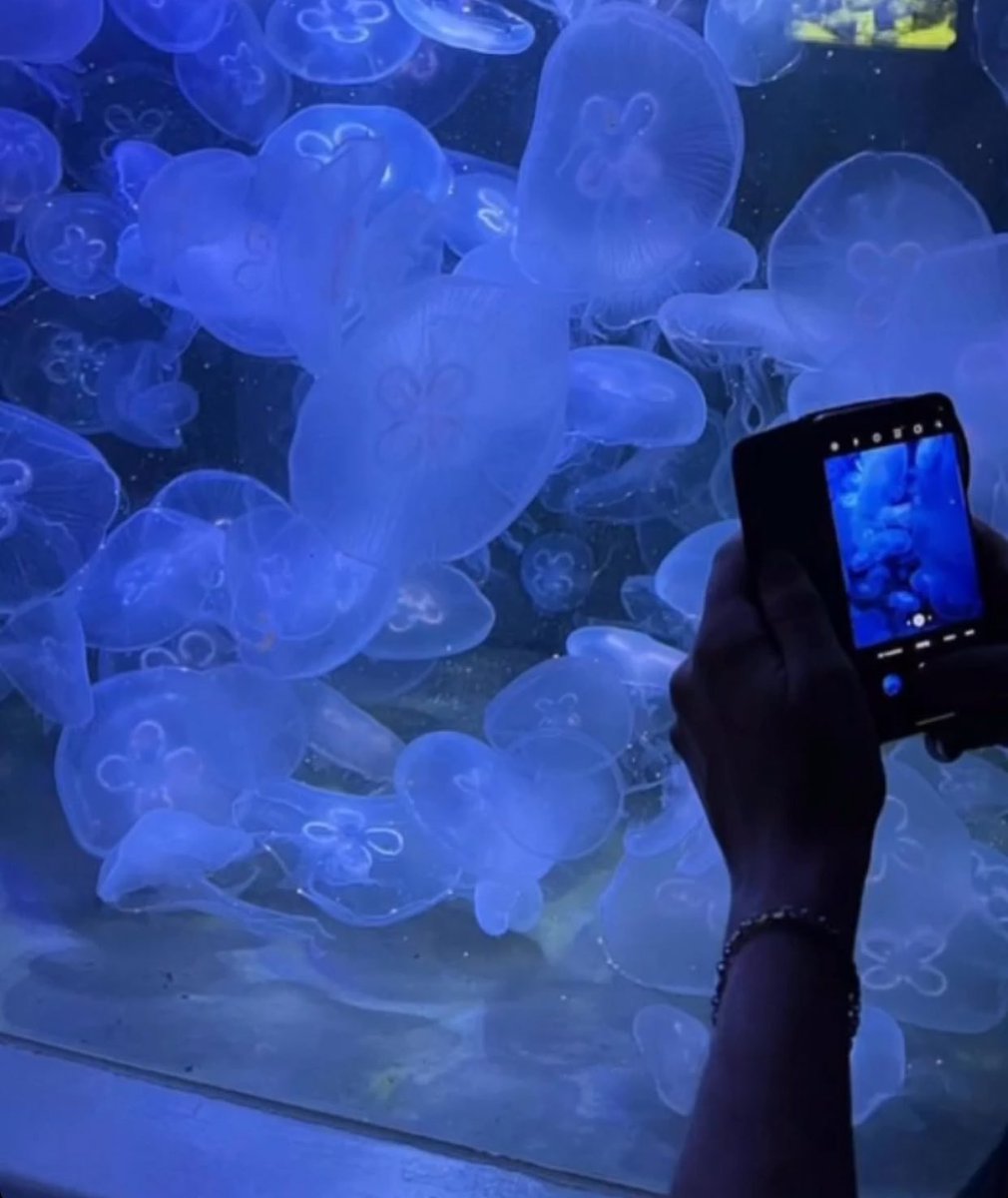 ashlojistudiez's tweet image. restarting…*ੈ✩‧₊˚

hi i’m ashley! not new to #studytwt &amp;amp; i’m looking for new moots!! 

-about me : 
✩ bsn program 🩺💉
✩ 🇺🇸/🇵🇭, she/her, ‘02
✩ anime fan, foodie, ocean lover

 ♡ / ↻ for spread are much appreciated