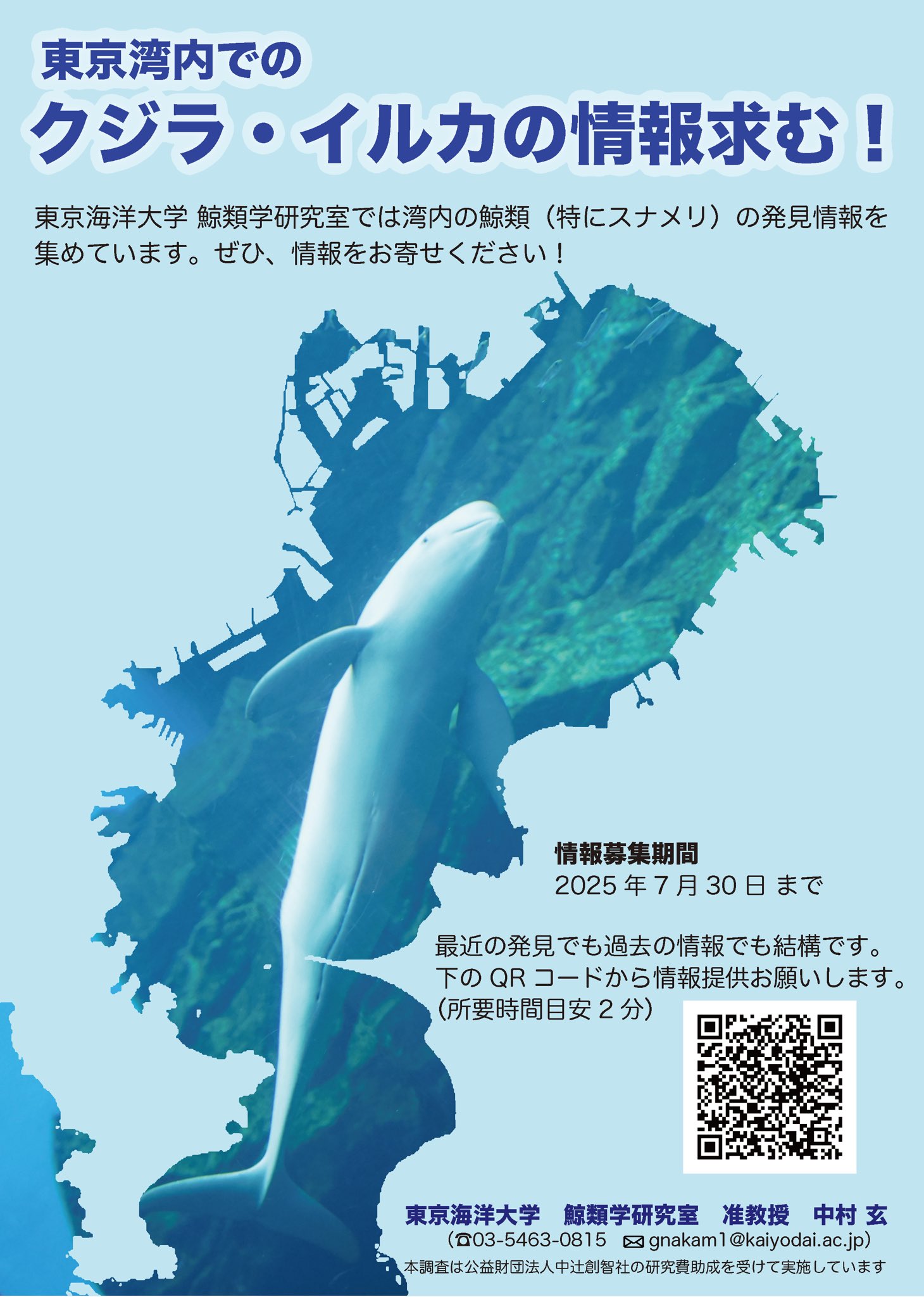 中国における生物多様性の保全とその実践 / 張恵遠/〓海広