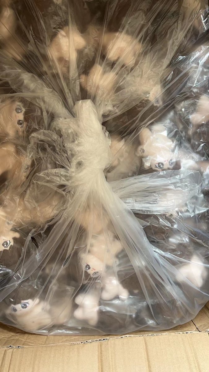 Dili will begin delivery after the 31st. If you need to change your address, please contact me! Additionally, Pala will prioritize delivering Dili as there are no earrings to be remade at the factory!