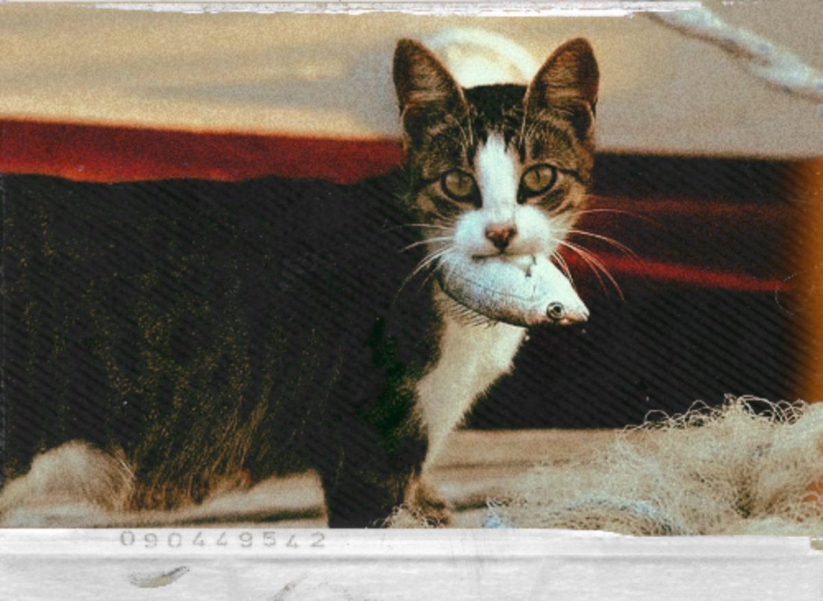 YUSEONG. tweet media