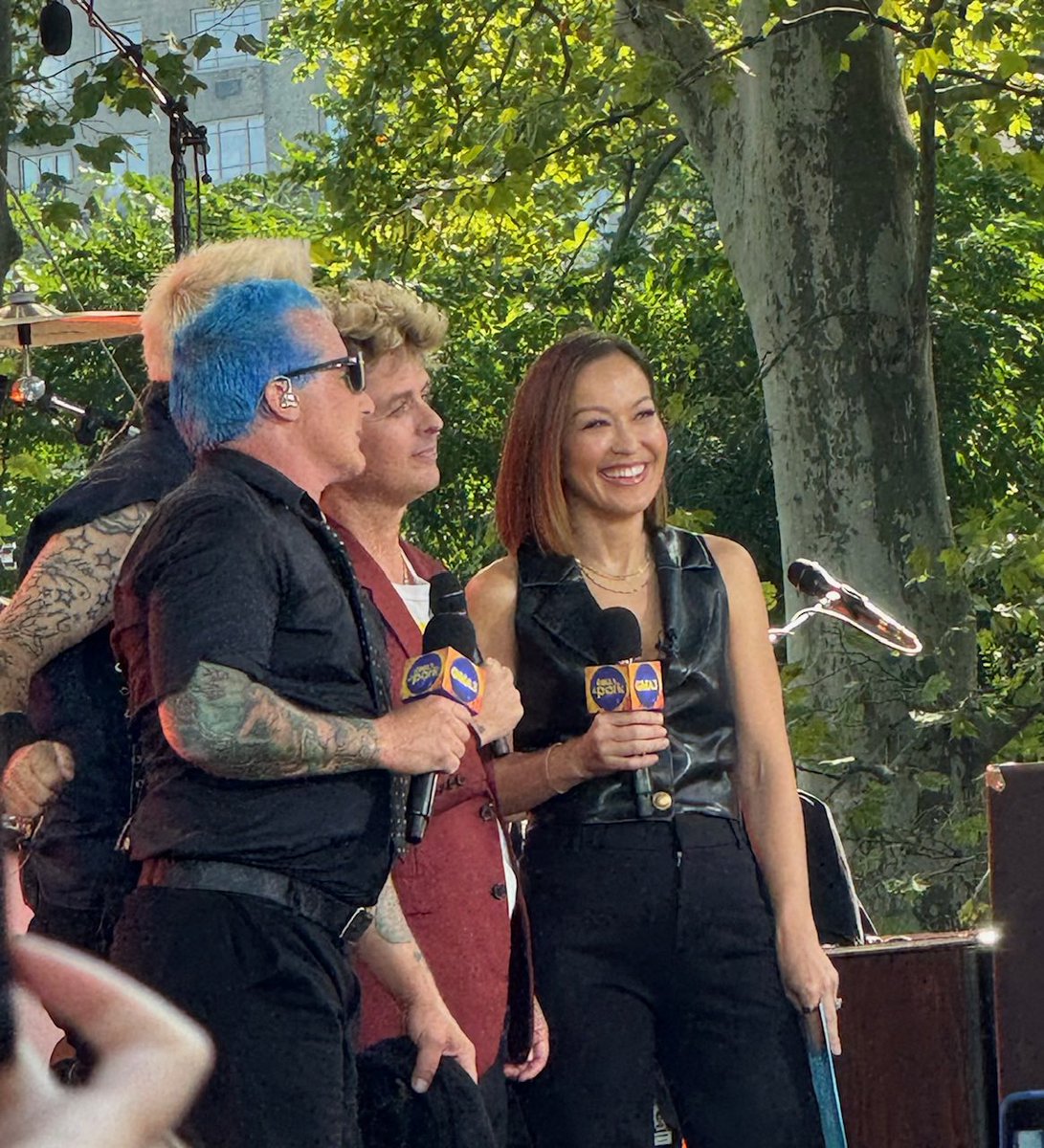 RobertaRT's tweet photo. At @GreenDay concert in Central Park #greenday #summerstage #centralpark #nyc https://t.co/eQb78RiHal