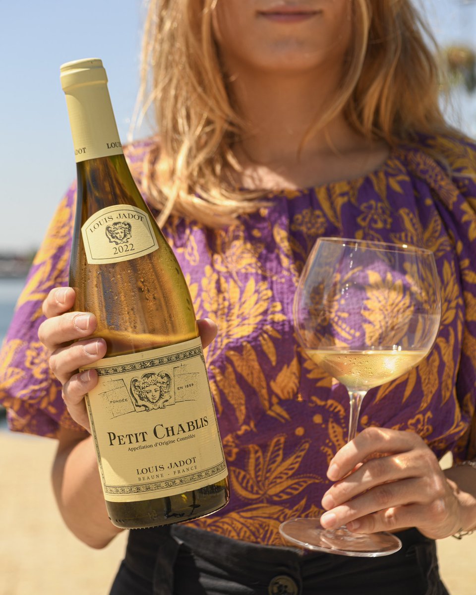 Petit Chablis 2022 es uno de los vinos más accesibles de Louis Jadot. Los Petit Chablis representan la puerta de entrada a la región vitivinícola que se extiende al norte de Bourgogne. Joven y vivaz, destacan sus aromas a frutas cítricas y una marcada mineralidad. #vinodelasemana