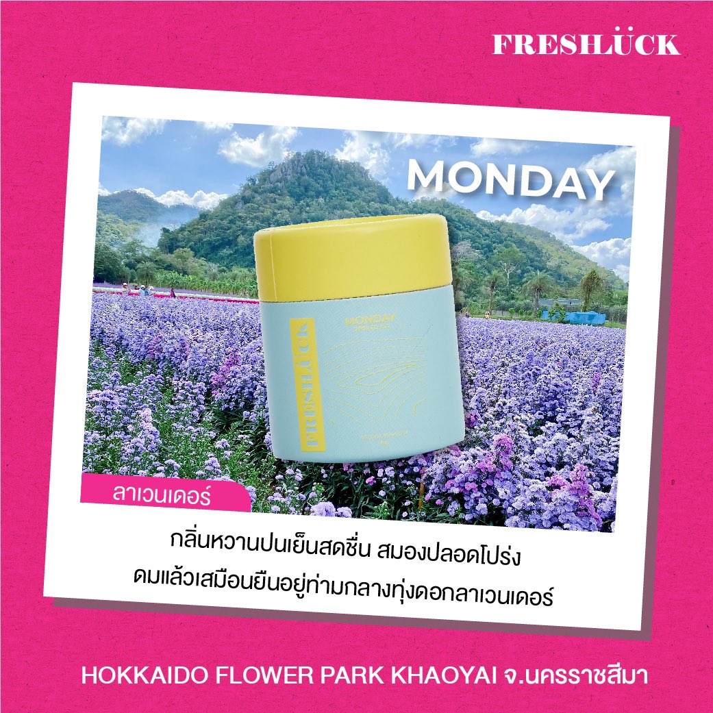 freshluckth's tweet photo. 💛🩵 The Perfect Monday | เริ่มต้นอาทิตย์ด้วยกลิ่นลาเวนเดอร์ ช่วยผ่อนคลาย สูดดมอีกนิดเจอกลิ่นไม้สน ผสานอย่างลงตัวให้ใจเย็ยลงแถมสดชื่น ใครชอบเย็นๆ เบาๆ รับรองปลื้ม 

📌 ดมแล้วโล่ง สบายกาย สบายใจ เสมือนยืนอยู่ท่ามกลางทุ่งดอกลาเวนเดอร์ Hokkaido Flower Park Khaoyai จ.นครราชสีมา 🪻💜 https://t.co/2j6l59cNzr