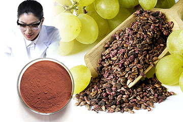 digitalvtech's tweet photo. Exploring Herbal Extract Manufacturing in India A Look at Vaibhav Traders
India, a country renowned for its rich heritage and biodiversity, has always been at the forefront of natural and herbal solutions. 
https://t.co/ghKg1sJf6R https://t.co/EAD4kIeU2z