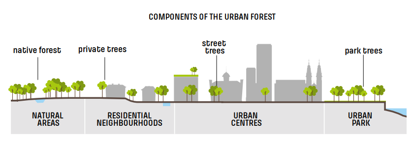 To mitigate #heatwaves &amp; summer temperatures, urban #forests are crucial 🌡️🥵 The European project uForest has represented its elements perfectly here ✨ The example city is #Vancouver 📍