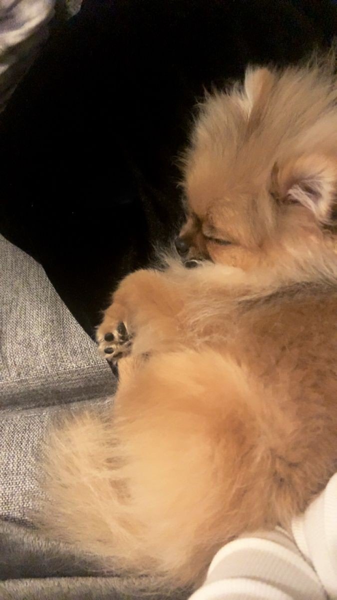 я стала мамой.🥰💗