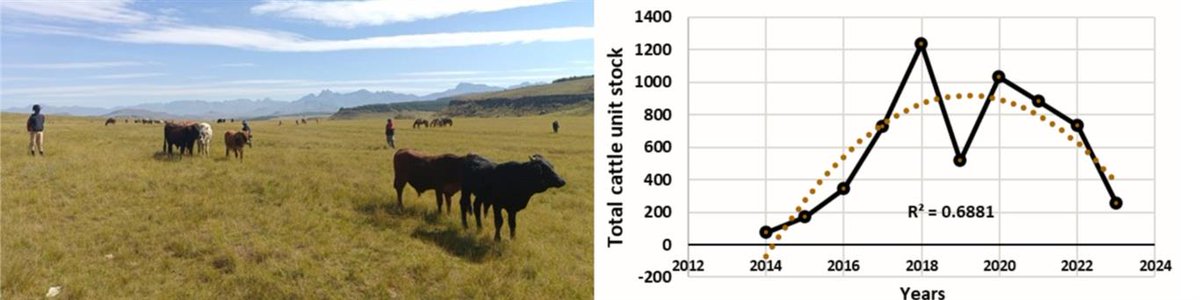 SEMINAR: *NEW RESEARCH* #Marketaccess for common land farmers - the case of the #EasternCape and implications for SA's #landreform project 
1 August, 14:00 SAT
events.teams.microsoft.com/.../e96abc2b-5…...
 #landreform #cattlefarming #agribusiness #agriculture #research