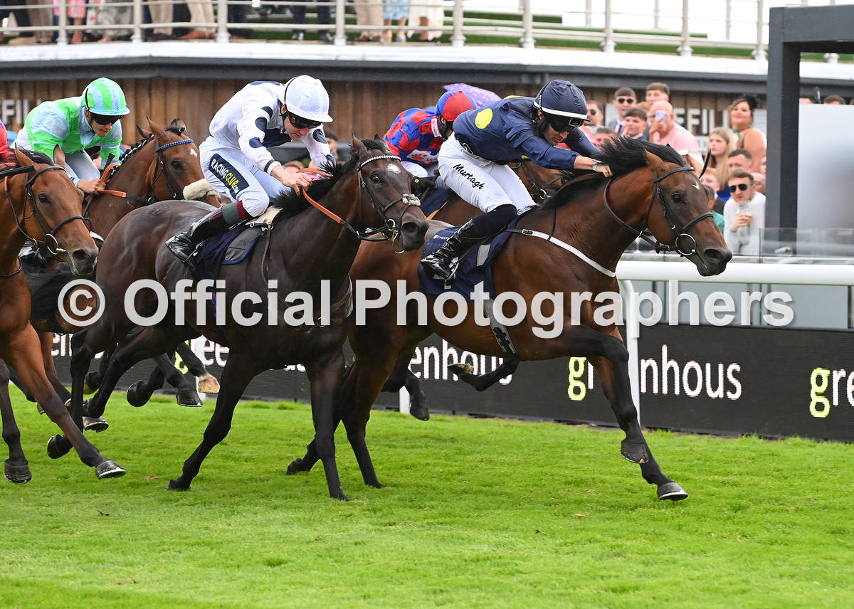 OfficialPhotographers (@offphoto) on Twitter photo GARFIELD SHADOW & <a href="/murtagh_connor/">Connor Murtagh</a> win at Chester for trainer <a href="/RichardFahey/">Richard Fahey</a> and owner Sheikh Juma Dalmook Al Maktoum.Check out all the official photographs at onlinepictureproof.com/officialphotog… <a href="/RathbarryStud/">Rathbarry & Glenview</a> <a href="/GreenhousComme/">Greenhous Commercials</a> GARFIELD SHADOW & <a href="/murtagh_connor/">Connor Murtagh</a> win at Chester for trainer <a href="/RichardFahey/">Richard Fahey</a> and owner Sheikh Juma Dalmook Al Maktoum.Check out all the official photographs at onlinepictureproof.com/officialphotog… <a href="/RathbarryStud/">Rathbarry & Glenview</a> <a href="/GreenhousComme/">Greenhous Commercials</a>