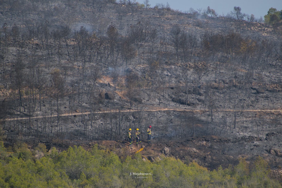 JViejobueno's tweet photo. Fil de fotos 🔥

Des del confinament l'incendi de la Figuera. 

28 de juliol de 2024. 

#IFlaFiguera https://t.co/GBORiXaEb1