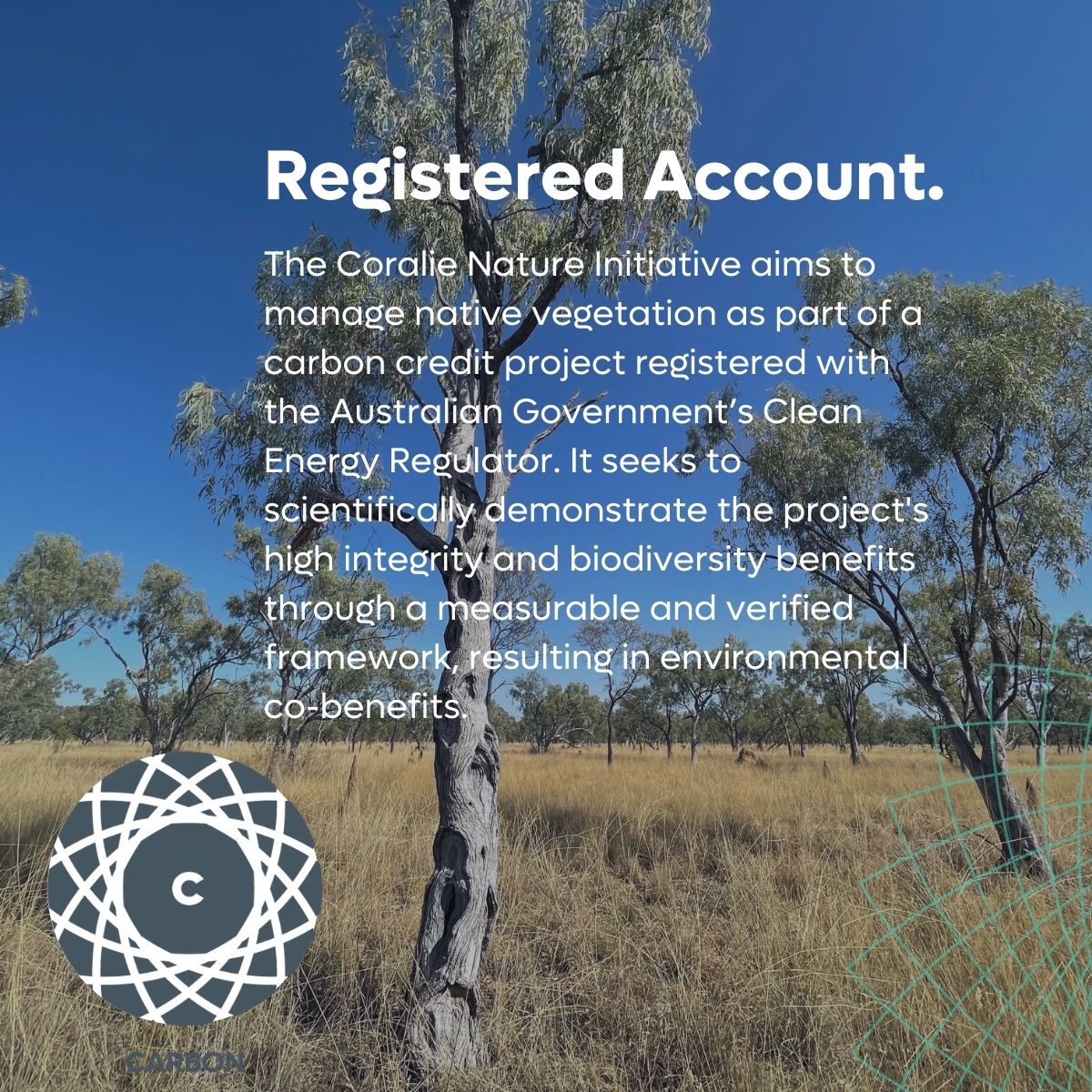 AccforNature's tweet photo. 🌿 We are excited to welcome the Coralie Nature Initiative to the #AccountingforNature community, which spans approximately 13,028 hectares of native remnant vegetation within the Gulf Plains Bioregion! 🌿
Learn more about this account 🔗 https://t.co/ye82x079B6. https://t.co/1KicFuO9pK