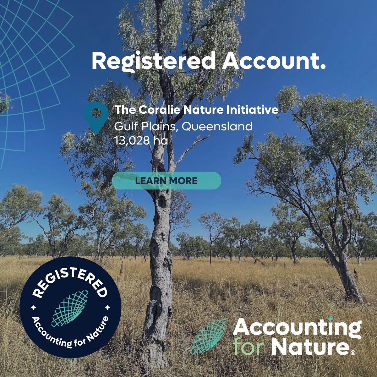 AccforNature's tweet photo. 🌿 We are excited to welcome the Coralie Nature Initiative to the #AccountingforNature community, which spans approximately 13,028 hectares of native remnant vegetation within the Gulf Plains Bioregion! 🌿
Learn more about this account 🔗 https://t.co/ye82x079B6. https://t.co/1KicFuO9pK