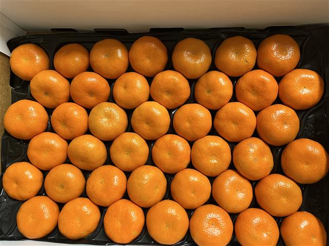 David Brown tweet media