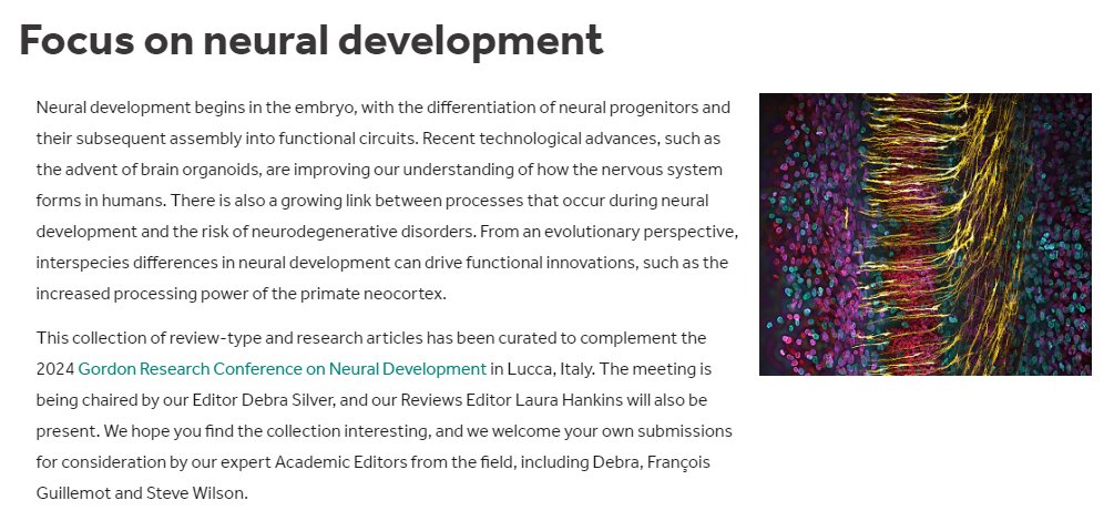 Dev_journal's tweet image. Attending @NeuralDevGRC this week? Reviews Editor Laura Hankins will be around to chat about our journal and other @Co_Biologists activities.

Also check out this collection of articles on #NeuralDevelopment we&apos;ve put together to complement the meeting:
journals.biologists.com/dev/collection…