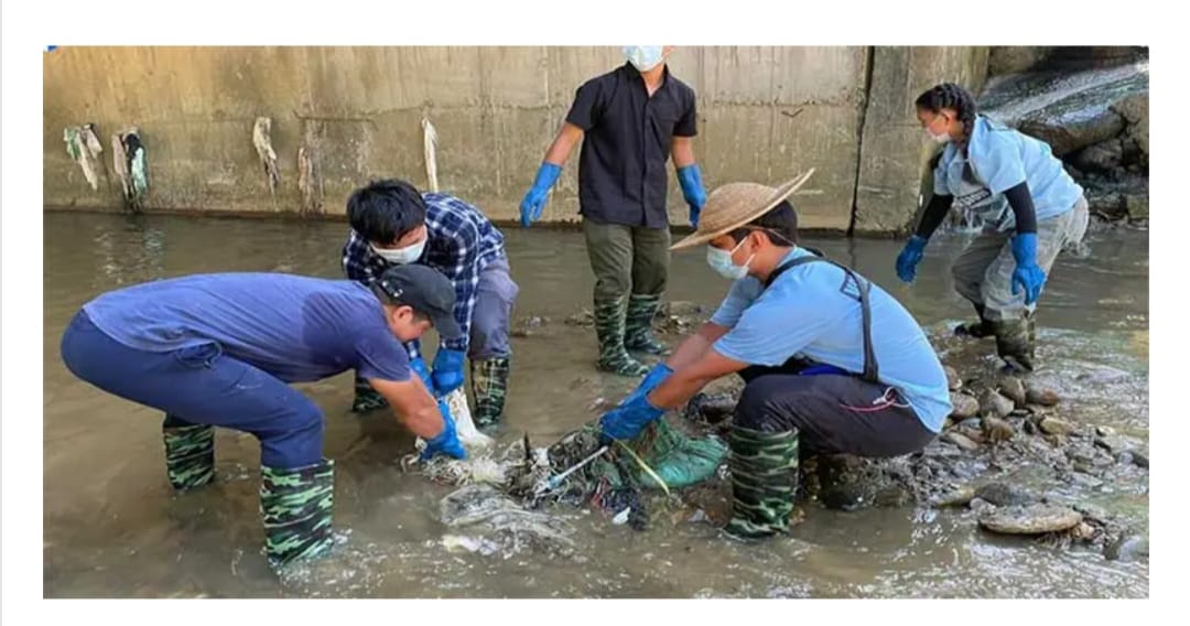 MyGovArunachal's tweet photo. In collaboration with the Itanagar Smart City Development Corporation Limited, the Youth Mission for Clean River and Abralow Memorial Multipurpose Society celebrated #WorldNatureConservationDay by organizing a cleanup of the Yagamso River in Abotani Colony, Itanagar. https://t.co/h76JPNKvDv