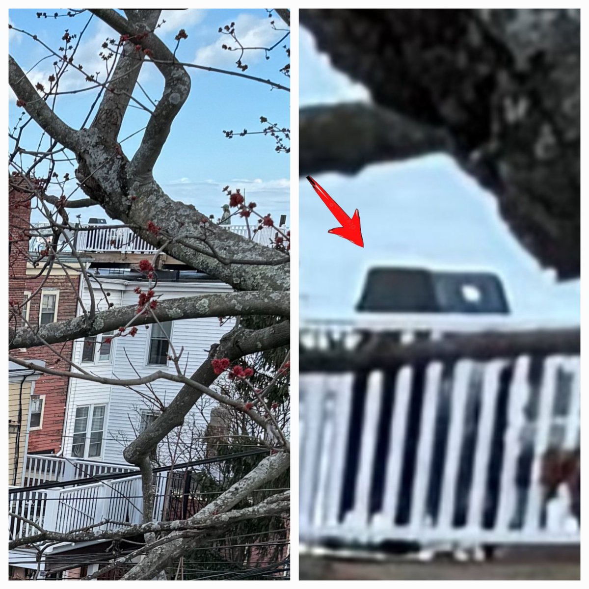 WilliamBarry12's tweet photo. @BostonFire hmmm....what could have caused that fire ? https://t.co/6cAPCtAve9