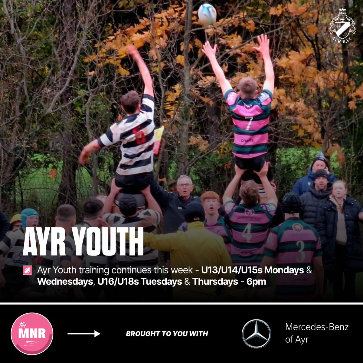 OfficialAyrRFC's tweet photo. The Monday Night Roundup | 🗒️

Start your week off by catching up on all the ongoings at the club - Brought to you with Mercedes-Benz of Ayr!

Check out all our teams below: 👇
https://t.co/au4hAaOUDa

#millbraemade | #MNR https://t.co/VFKb7Je7Gy