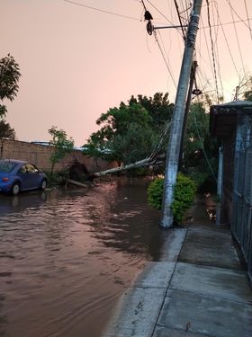 GNocturnaMX's tweet photo. #Precuacion reportan árbol caído sobre la calle San Jorge, en la colonia Santa Cruz del Valle de Tlaquepaque. 

Vecinos aseguran que el árbol cayó sobre algunas casas

@GobTlaquepaque @PCTlaquepaque atención a la situación

#GuardiaNocturna https://t.co/OsA1ojVgyU