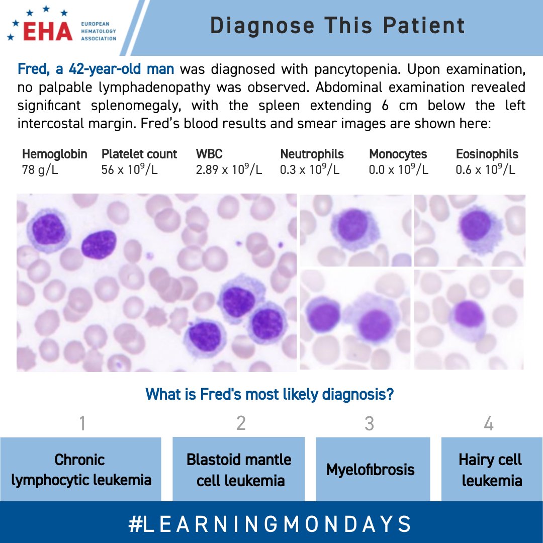 European Hematology Association tweet media