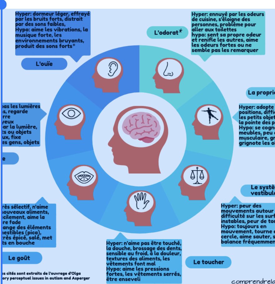La perception sensorielle chez la personne autiste