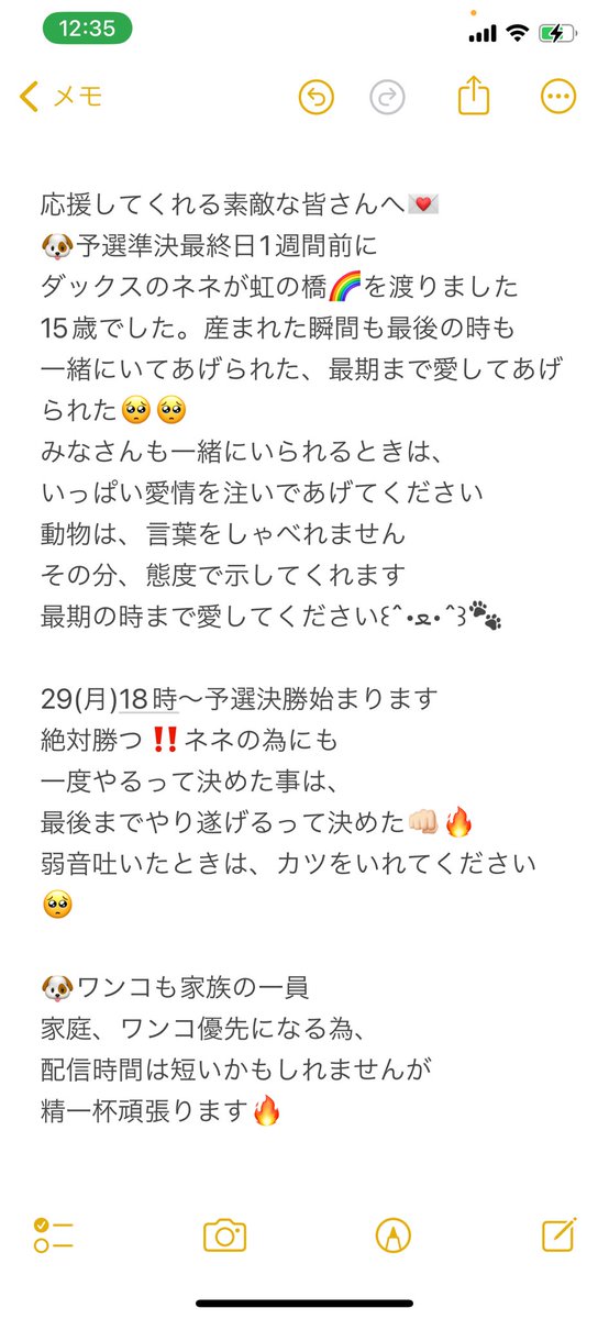 chieko_saori's tweet photo. 🆘このツィートをRP引用RPお願いします🆘
大好きな愛犬るーちゃん(ルチル)と雑誌に載りたいｯｯ⭐️るーちゃんに想い出作ってあげたい🥰るーちゃんをペットモデルにする第一歩🐾ネネの為にも、最後まで諦めない!‼️
決勝🔥7/29(月)18時～8/18(日)24時
 #lovepet  #lovepet https://t.co/6BaGBdUGTP