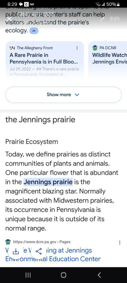 caleb_aly's tweet photo. @elonmusk Magnificent blazing star hmmm https://t.co/EHwScRmmu9