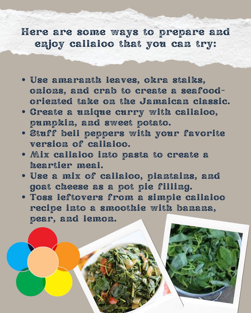 cbasouthetobico's tweet photo. Our local growing partners have been harvesting some prolific amounts of organic callaloo or amaranth and some community members have asked what to do with this nutrient rich staple of many diets! Read on and be sure to follow the @TheGardensLake for more info! https://t.co/zZzhHEKR30