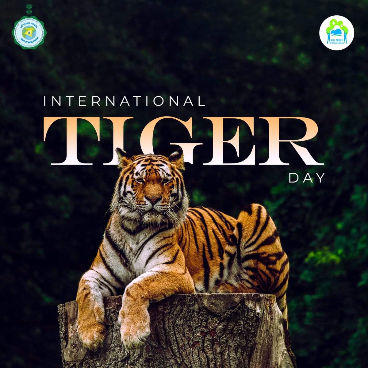 West Bengal Forest Department tweet media