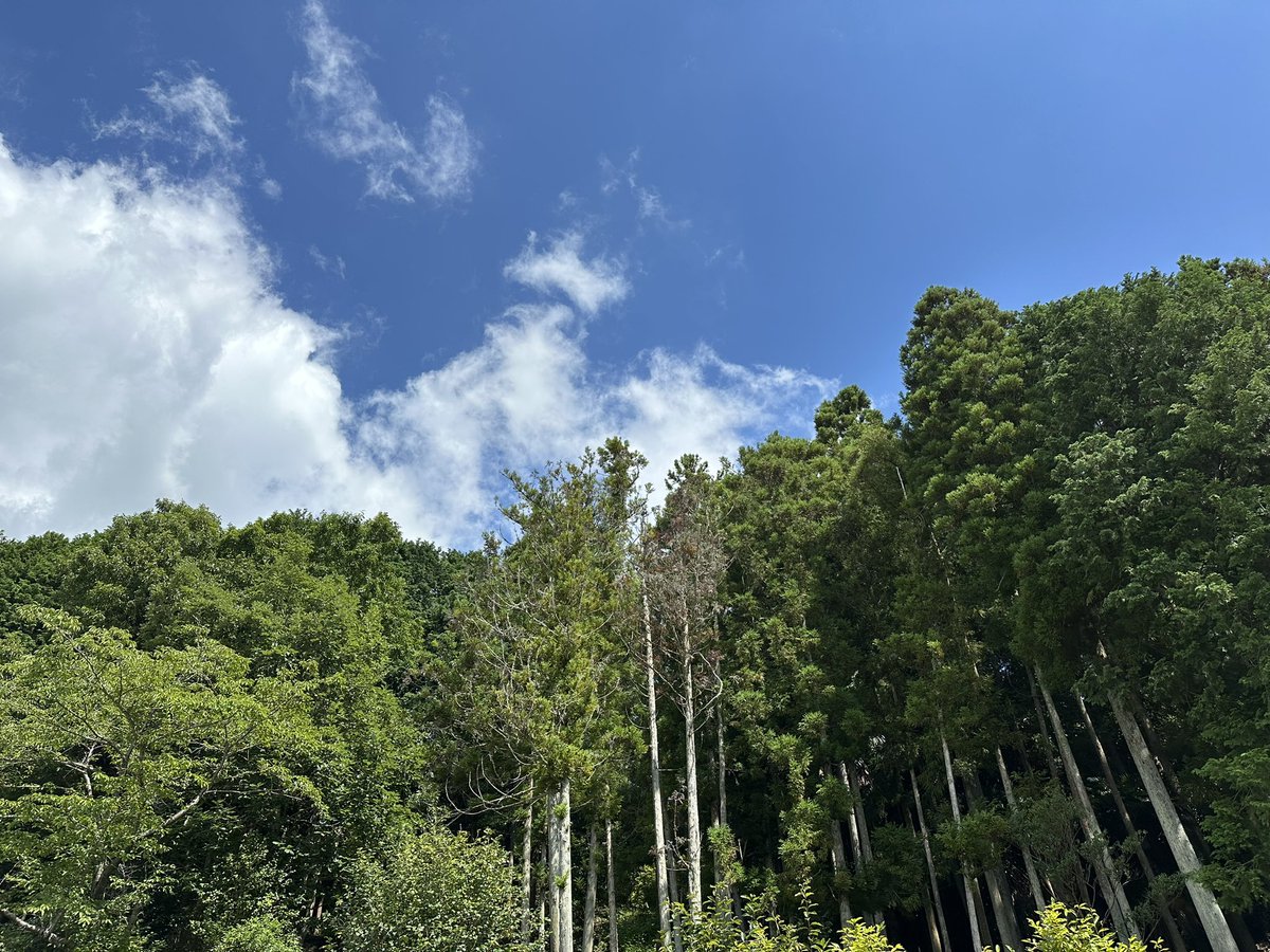 猛烈な暑さ - ʕ⁎̯͡⁎ʔ *･.° ⭐︎

めっちゃ暑い🏃‍♂️💦
体温超えの危険な暑さが続いています🥵

#BeHappy #HeatStroke #landscape #photography #nature #environment #Japan #熱中症警戒アラート #風景 #風景写真 #環境 #写真好きな人と繋がりたい
