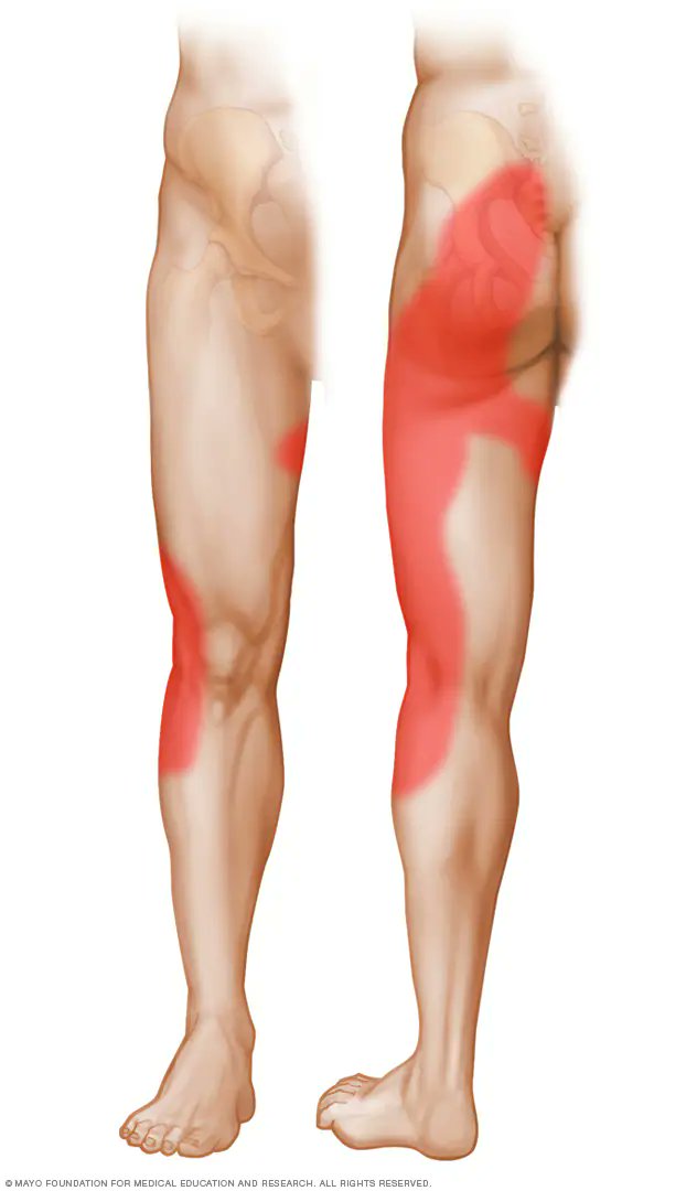 Nick Ilić tweet media