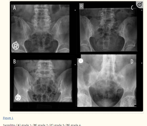 Nick Ilić tweet media