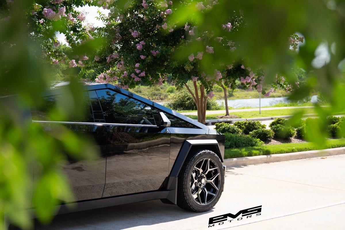 EVS Motors tweet media