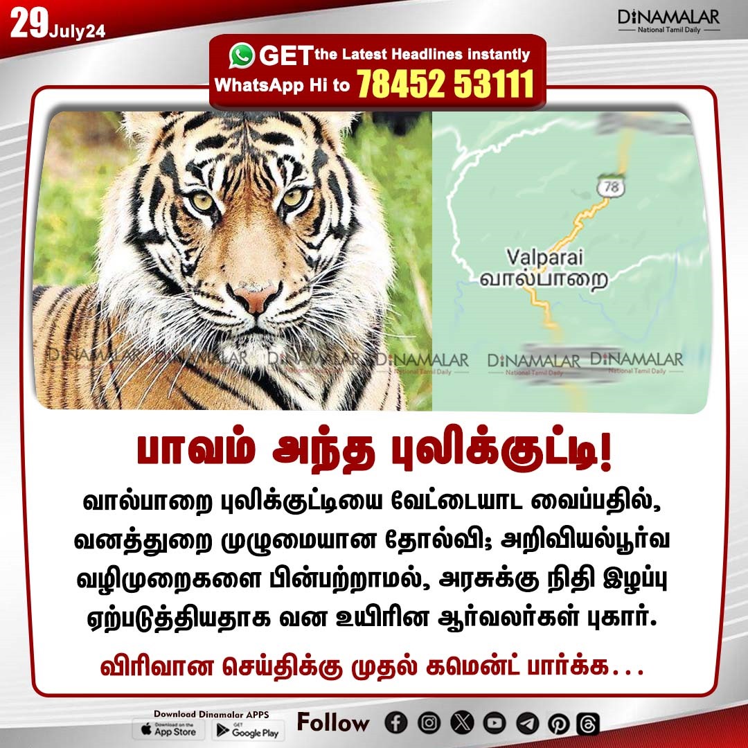 dinamalarweb's tweet photo. பாவம் அந்த புலிக்குட்டி!
#Valparai | #TNForest | #Tiger | #tigercub | #Hunting | #Tigerhunting
https://t.co/y4W3uzOopr https://t.co/SXSrvUchhP