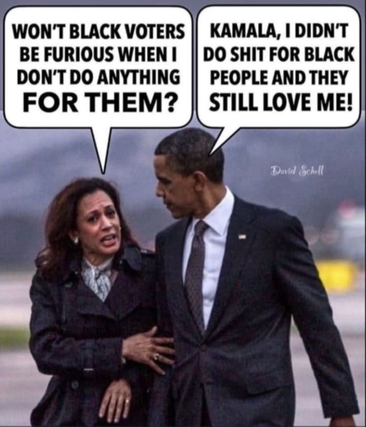 robwallyworld's tweet photo. @atensnut This would most likely be the reality for the Black community of any Harris administration. 🤬

Every four years they come seeking the support of Black Americans, at which time they promise everything, and like the sun shines...they're guaranteed to deliver absolutely nothing.🤬 https://t.co/Mah8Ui7aw0