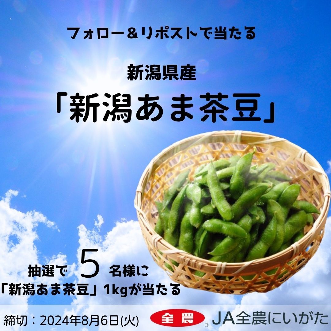 shokuikuzennoh's tweet photo. 🫛#新潟県 産 枝豆「#新潟あま茶豆」プレゼント企画🫛

新潟県産「新潟あま茶豆」1kg が当たるキャンペーンを開催‼️
抽選で５名様にプレゼントします🎁

応募方法
1️⃣@shokuikuzennohをフォロー
2️⃣この投稿をリポスト
〆切：2024/8/6

JAタウンでも販売👉https://t.co/2anCJDTtvw

#全農 #全農にいがた https://t.co/55ze03Ypca