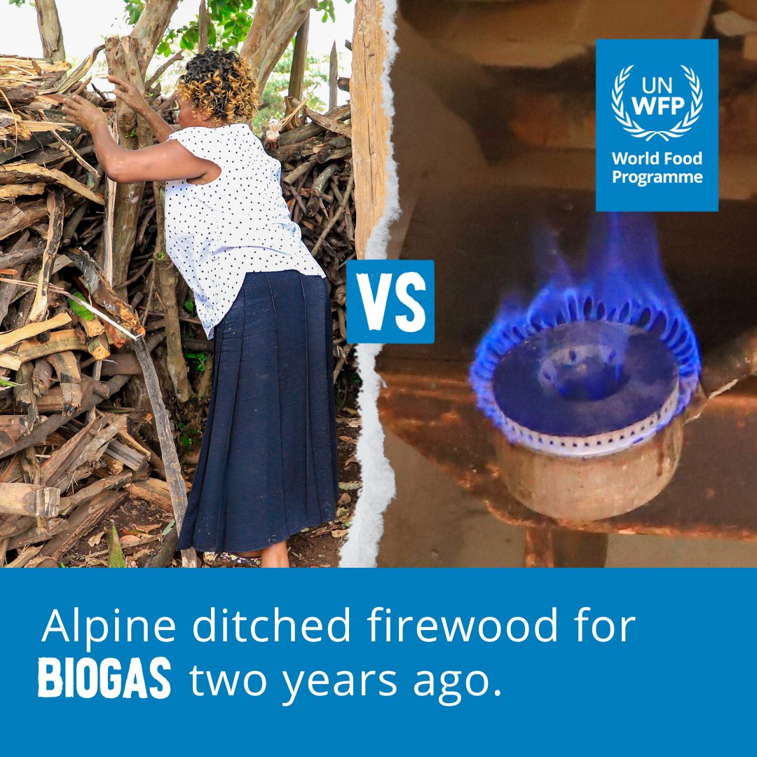 WFP_Kenya's tweet photo. Alphina from Narok County ditched firewood for biogas, a clean and renewable cooking fuel. π₯
With @WFP's support through #FtMA, Alphina is teaching her community about climate-smart agriculture and how to set up orchards. π±π https://t.co/dK3dIBQGK1