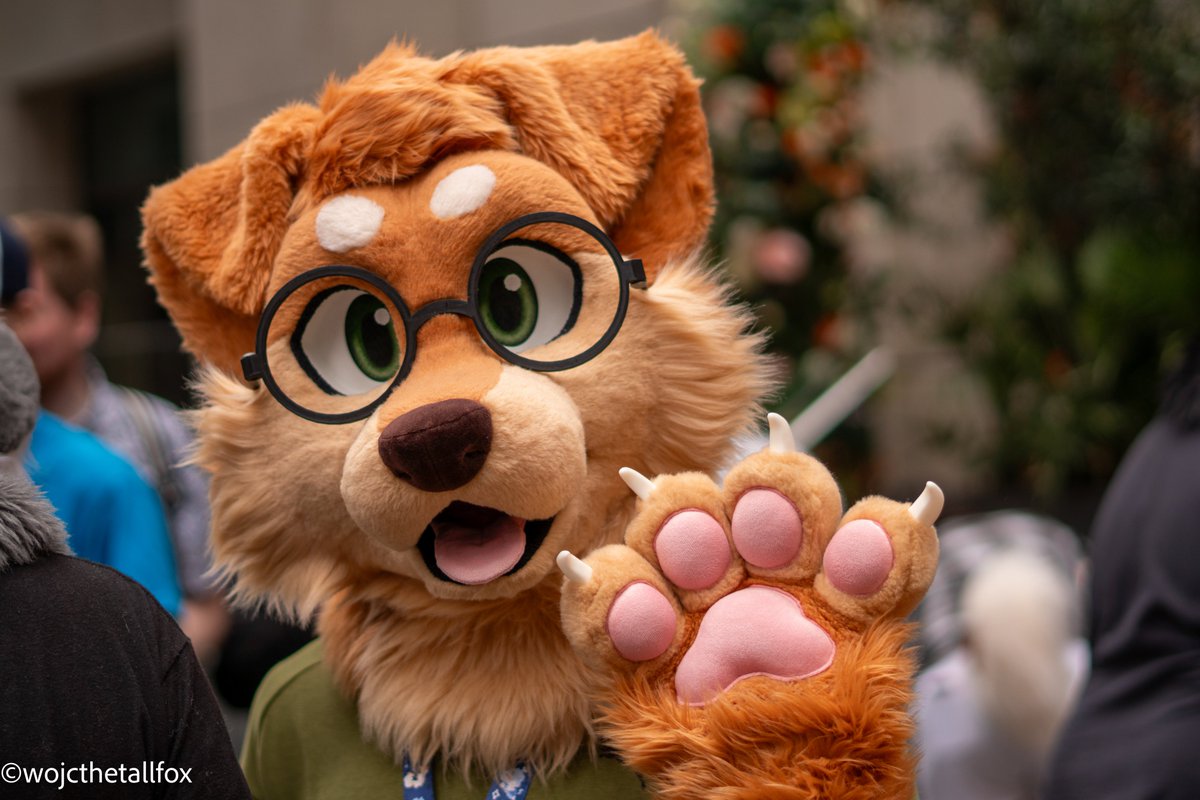 Max at Londonfurs Summer party 2024